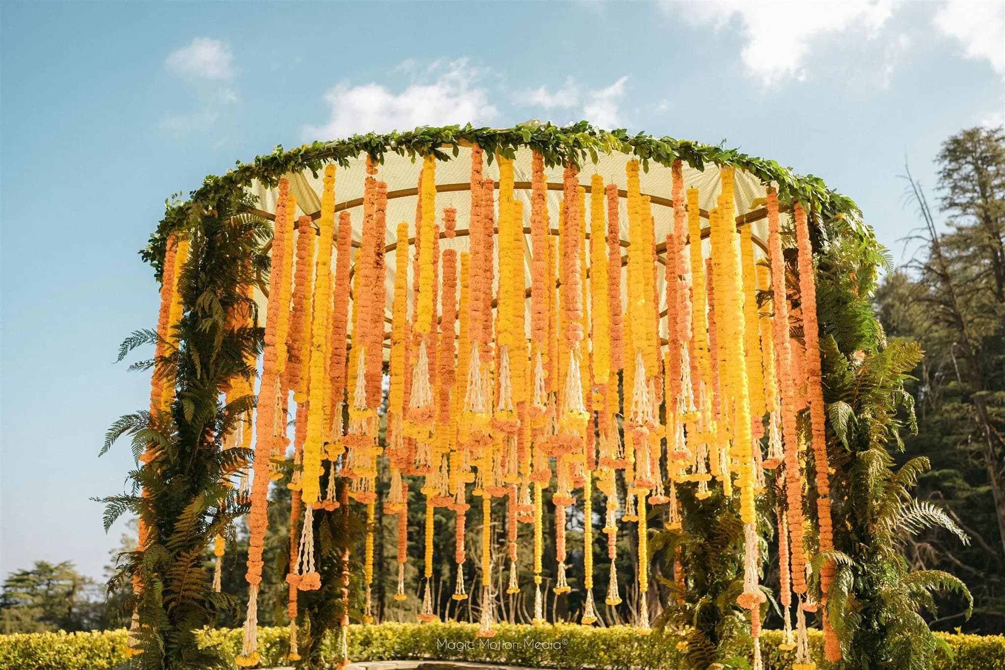 Marigold Floral Canopy 