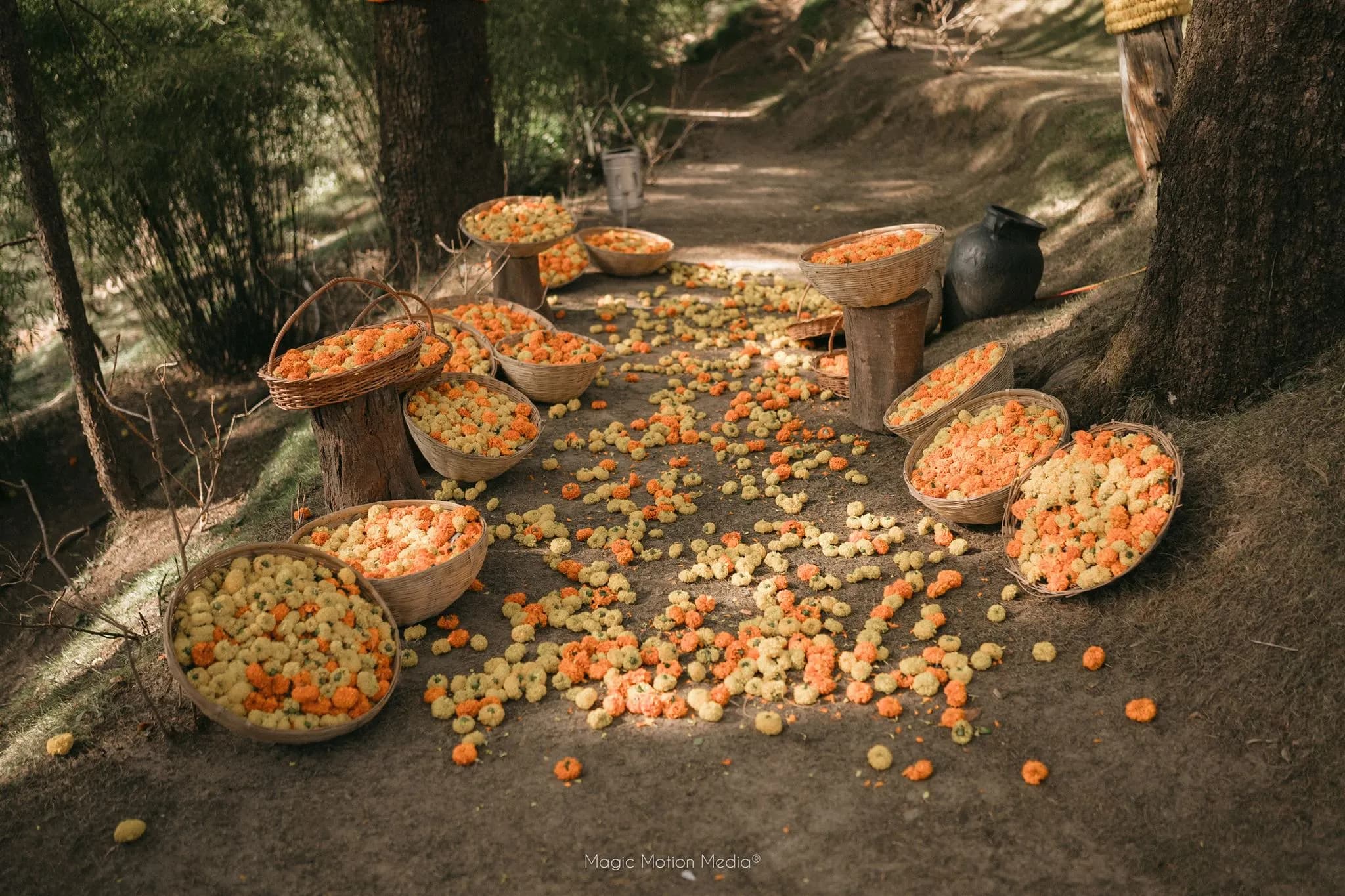 Marigold Flower Installation 