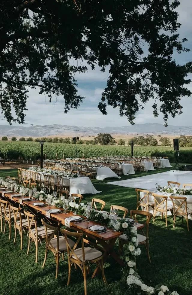 Vineyard Weddings